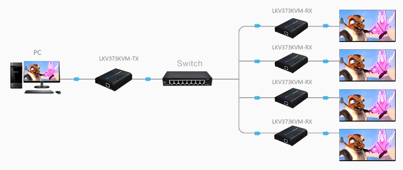 Point to Multipoint/Point подключения LKV373KVM